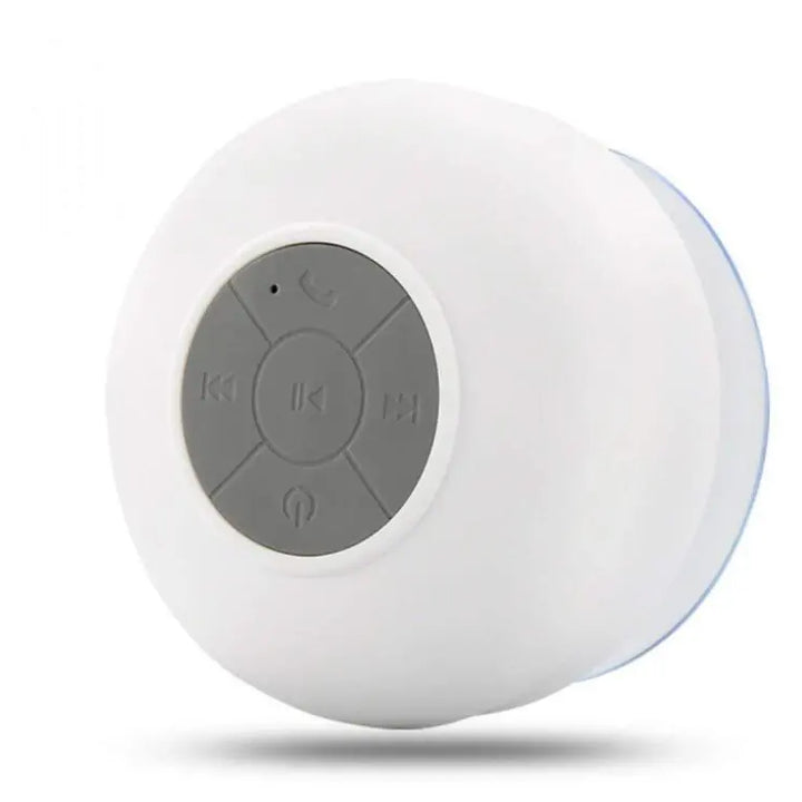 Portable Bluetooth Speaker